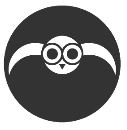 owl360